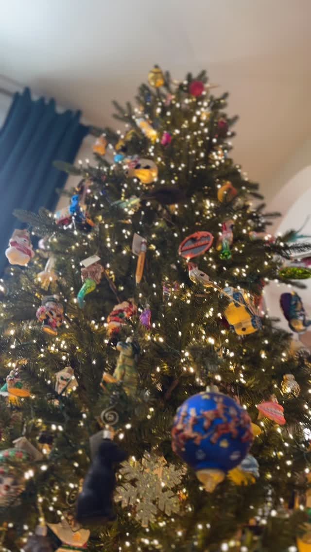 @snakeriverfarms just dropped brand new potato chips… and they’re fried in beef tallow for the ultimate punch of flavor.  Crunchy, salty, rich, and downright addictive.  The perfect holiday snack while the train runs laps around the tree. 

Trust me… you’re gonna want a bag (or six).

#SnakeRiverFarms #SRFChips #BeefTallowChips #HolidaySnacks #ChristmasVibes #FoodieFinds #SnackAttack #ThatGrillerGuy #SRF #IdahoPotatoes #TallowFried #NewProductLaunch #ChristmasTreeMagic #CozySeason #FlavorBuiltDifferent